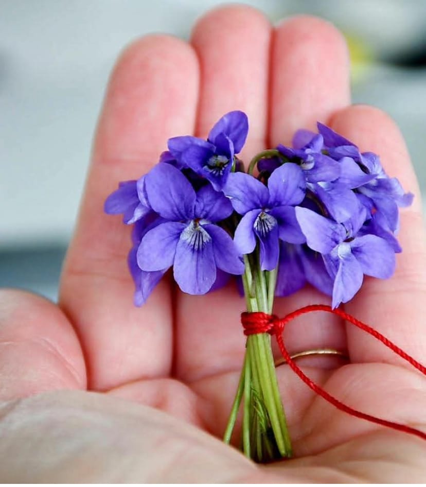 Femeia…minunea vieții